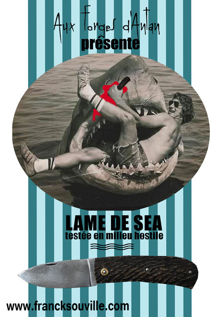 lame de sea 2 site.jpg